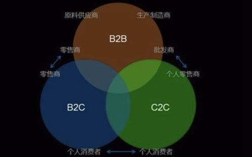 全球電子商務(wù)b2b,b2c,c2c主要的代表網(wǎng)站有哪些