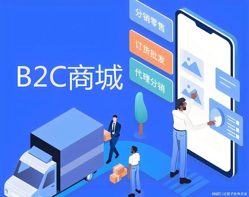 b2c商城開發(fā)