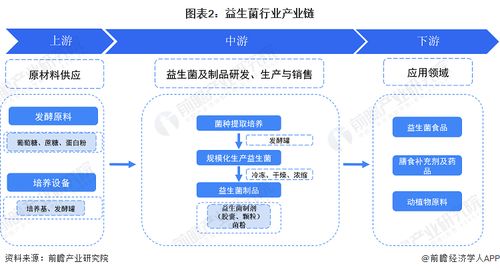 預見2023 2023年中國益生菌行業全景圖譜 附市場規模 競爭格局和發展前景等